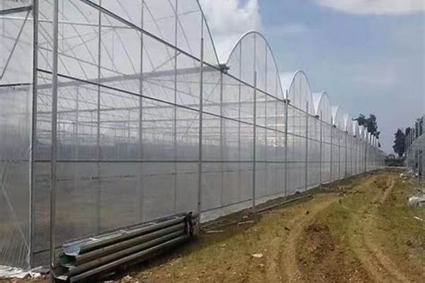 6分大棚钢管多少钱一吨_6分大棚钢管多少钱一吨多少根