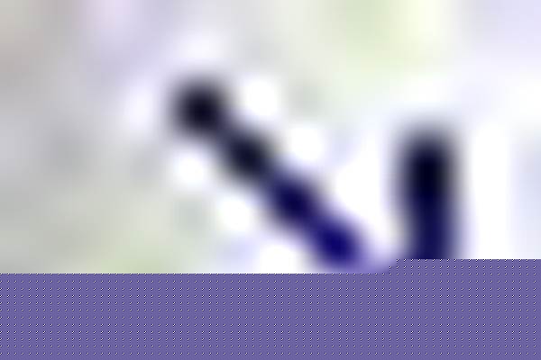 3087无缝钢管/a_3087无缝钢管多少钱一吨