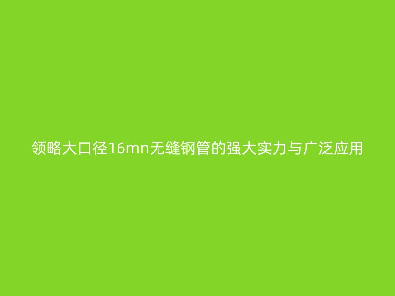 领略大口径16mn无缝钢管的强大实力与广泛应用