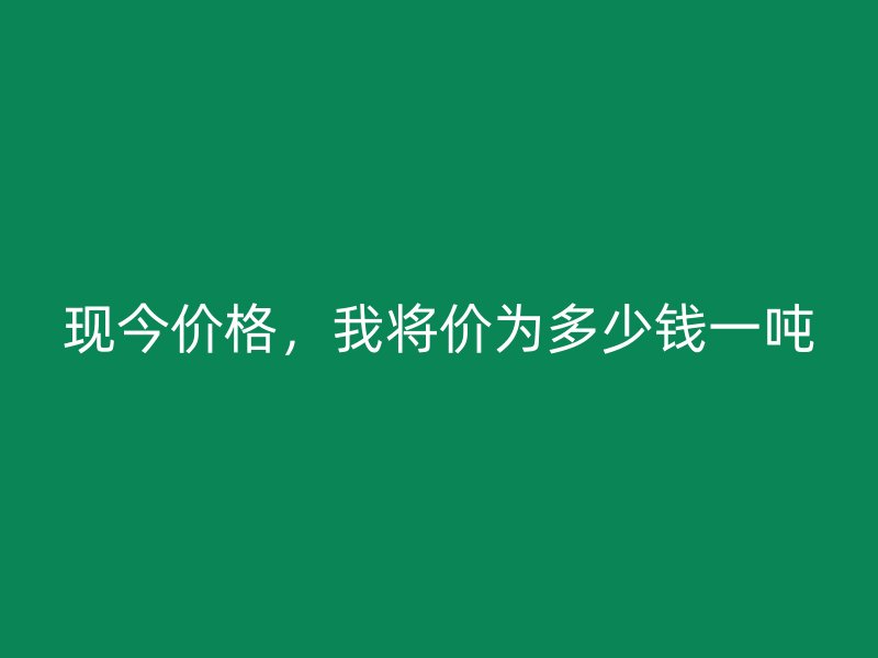 现今价格，我将价为多少钱一吨