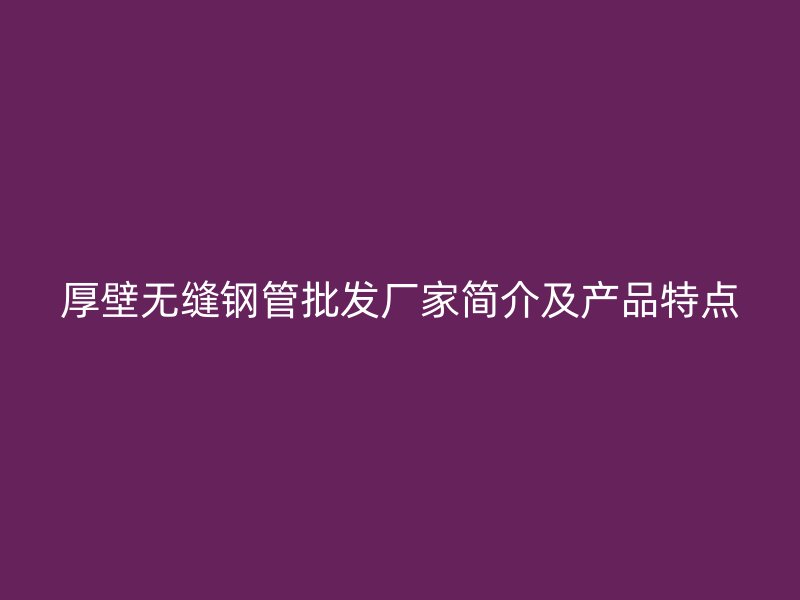 厚壁无缝钢管批发厂家简介及产品特点