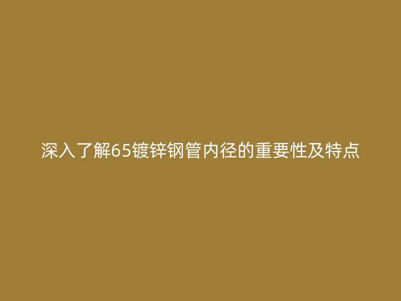 深入了解65镀锌钢管内径的重要性及特点