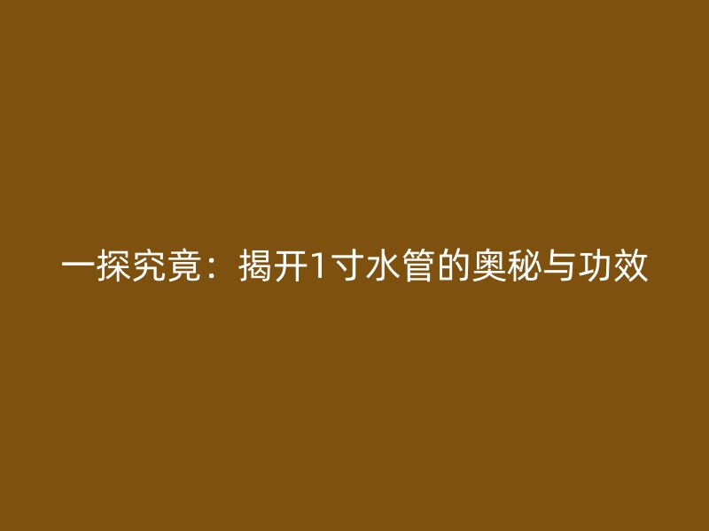 一探究竟：揭开1寸水管的奥秘与功效