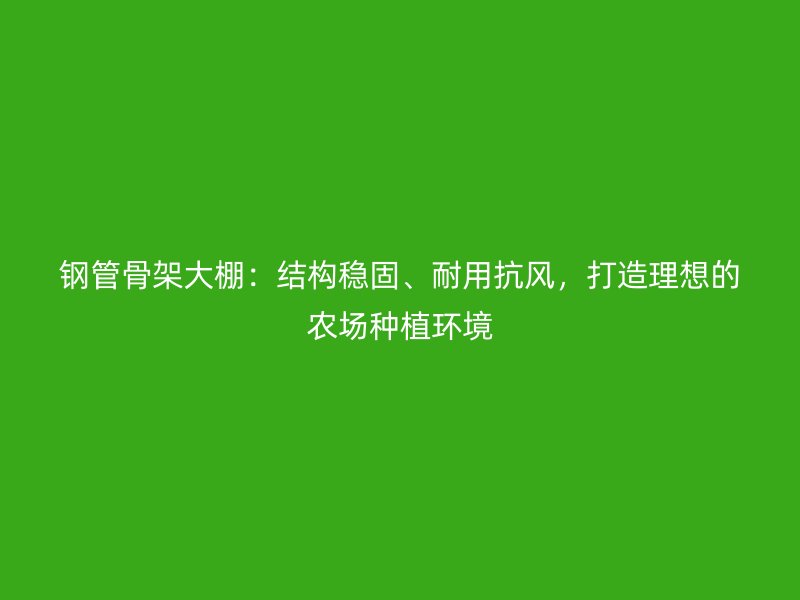 钢管骨架大棚：结构稳固、耐用抗风，打造理想的农场种植环境
