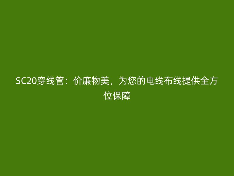 SC20穿线管：价廉物美，为您的电线布线提供全方位保障