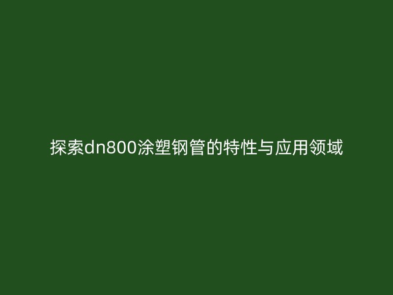 探索dn800涂塑钢管的特性与应用领域