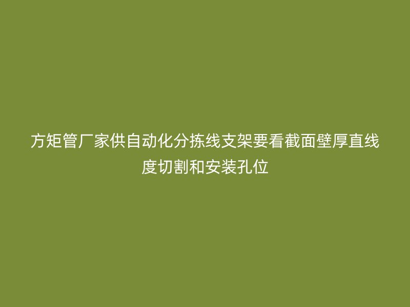 方矩管厂家供自动化分拣线支架要看截面壁厚直线度切割和安装孔位