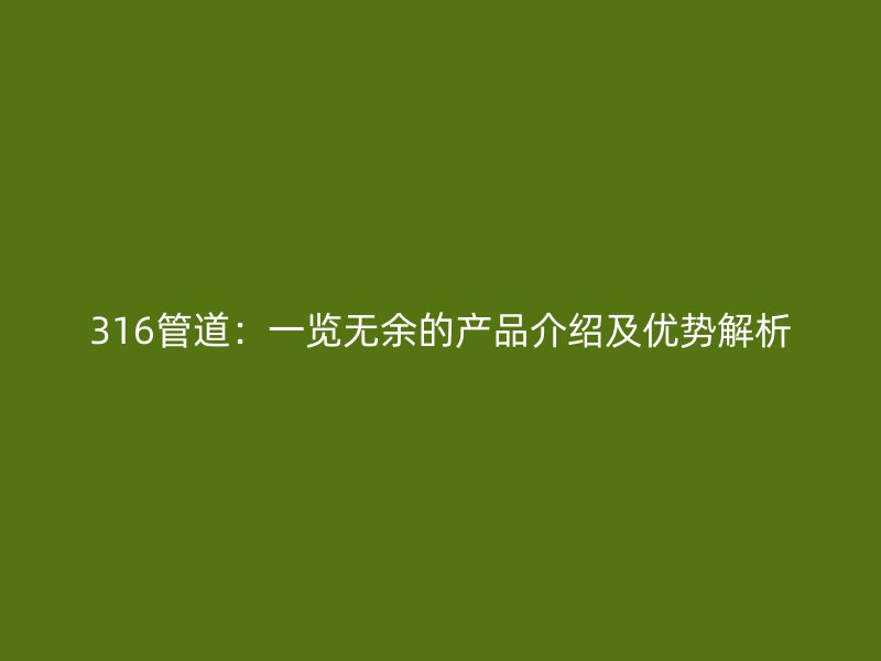 316管道：一览无余的产品介绍及优势解析