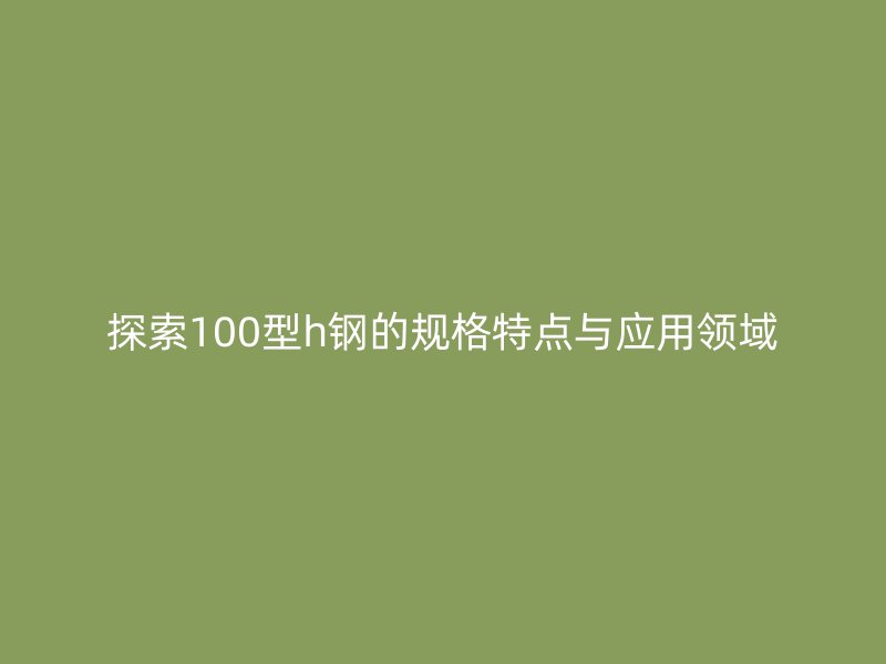 探索100型h钢的规格特点与应用领域