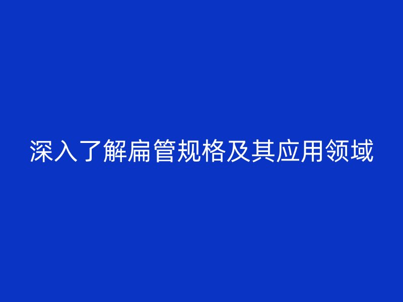 深入了解扁管规格及其应用领域
