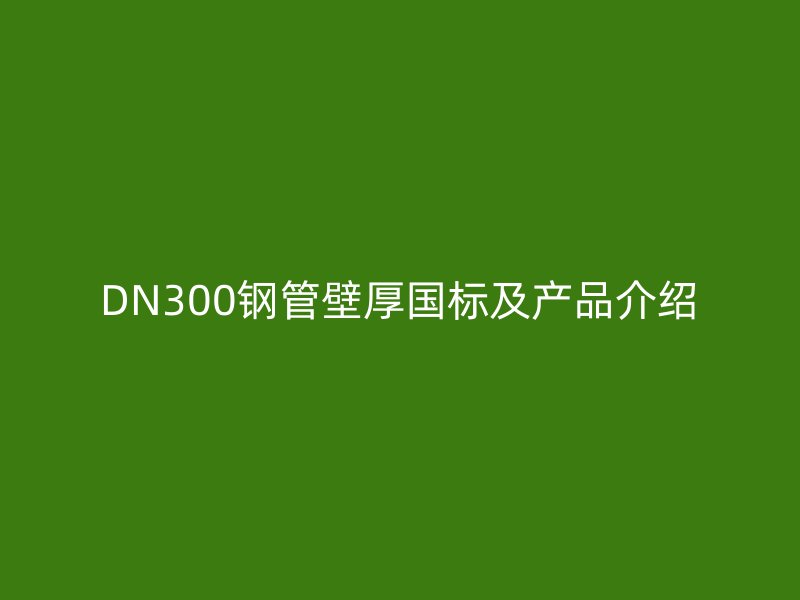 DN300钢管壁厚国标及产品介绍