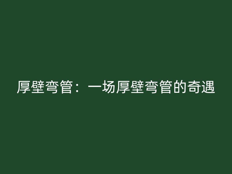 厚壁弯管:一场厚壁弯管的奇遇