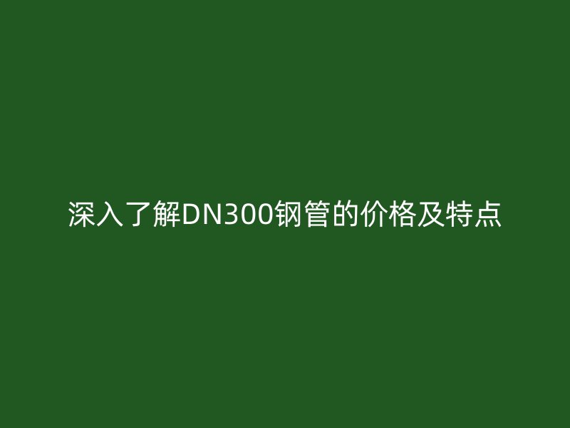 深入了解DN300钢管的价格及特点