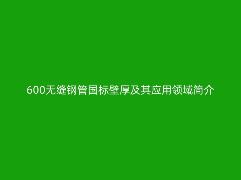 600无缝钢管国标壁厚及其应用领域简介